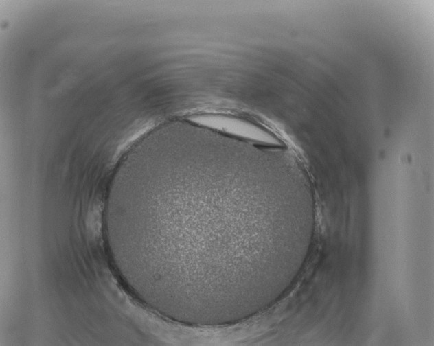 X0000061760010200512091713