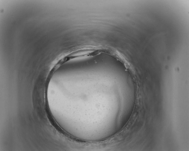 X0000061760011200512091713