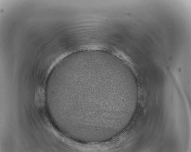 X0000061760012200512091713