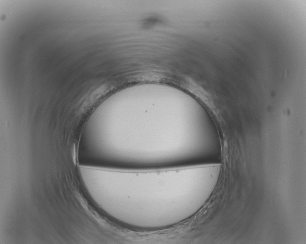 X0000061760013200512091713