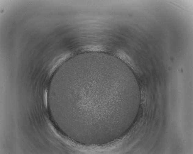 X0000061760014200512091713