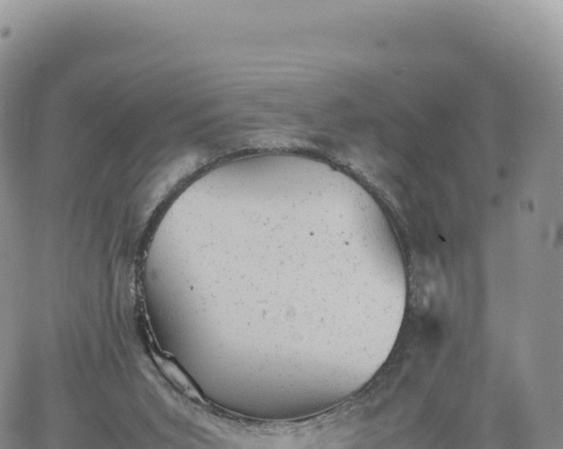 X0000061760015200512091713