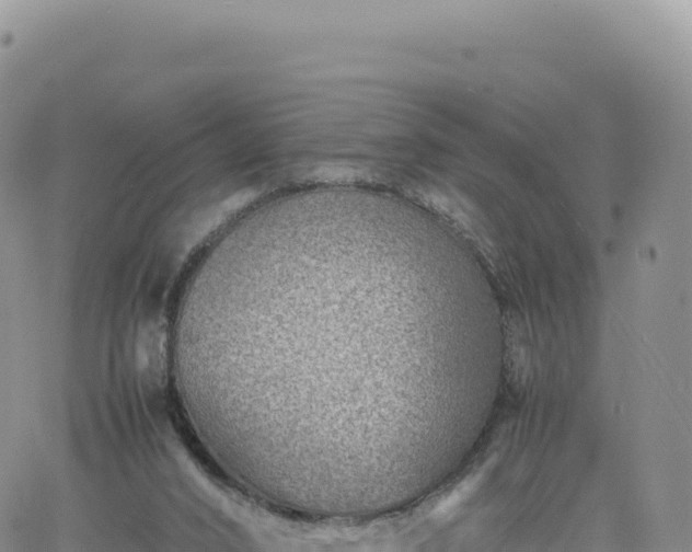 X0000061760016200512091713