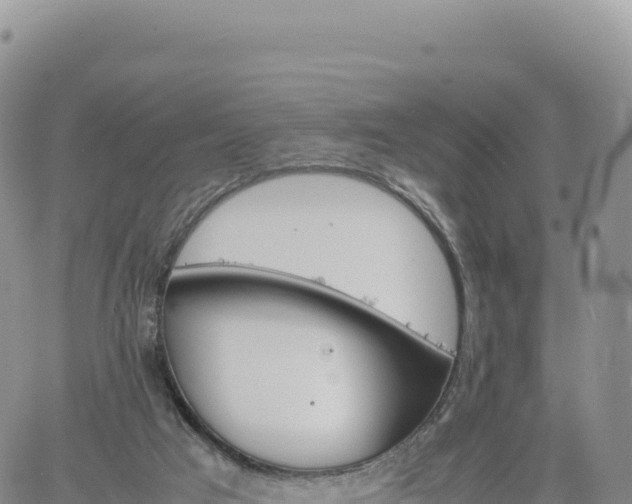 X0000061760017200512091713