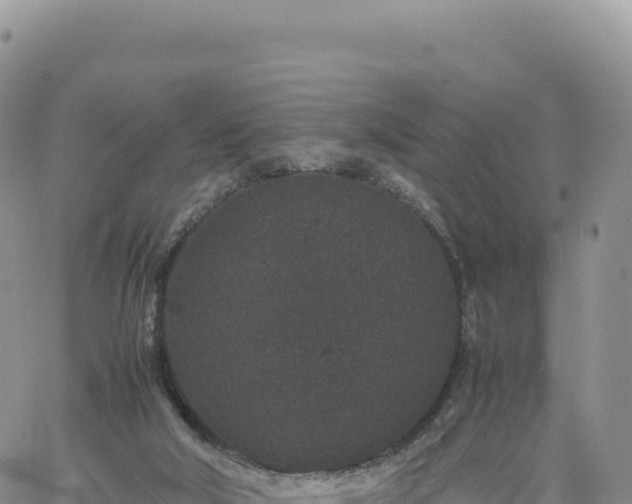 X0000061760018200512091713