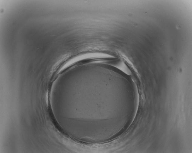 X0000061760019200512091713