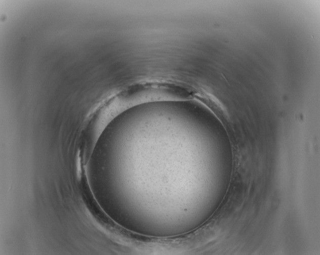 X0000061760020200512091713