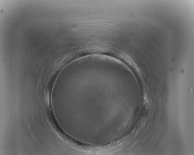 X0000061760021200512091713