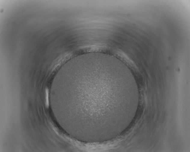 X0000061760022200512091713