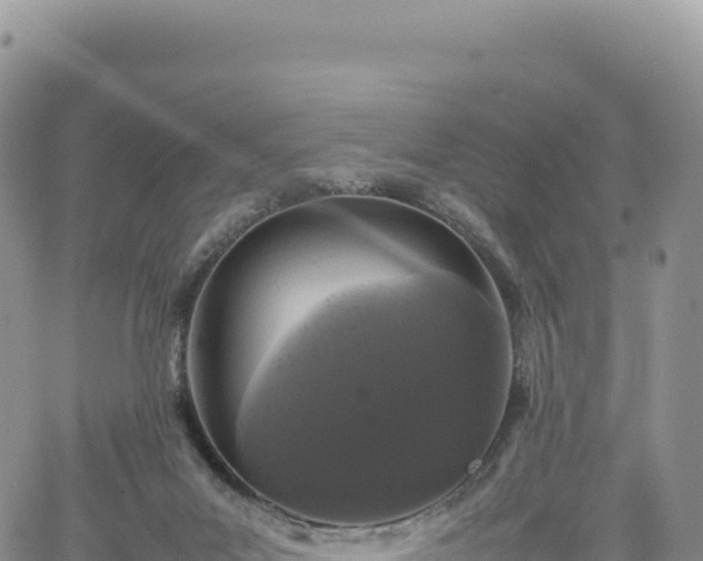 X0000061760023200512091713