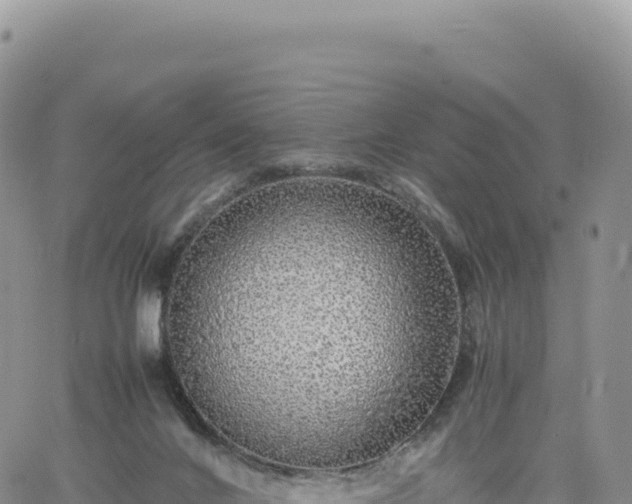 X0000061760024200512091713