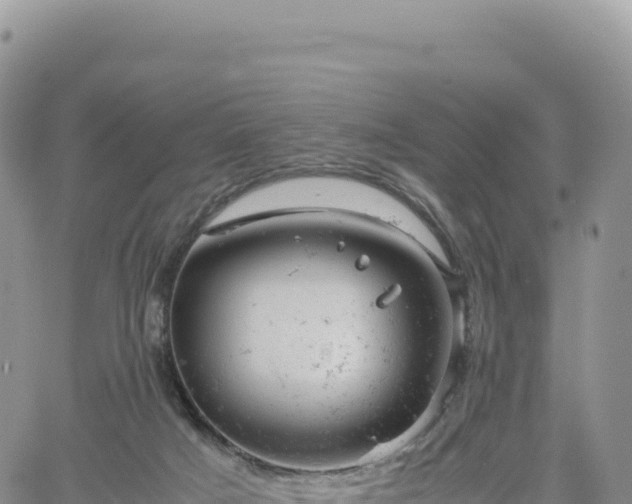 X0000061760025200512091712