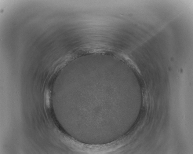 X0000061760026200512091712