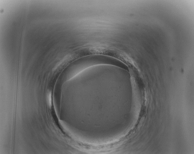 X0000061760027200512091712