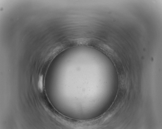 X0000061760028200512091712