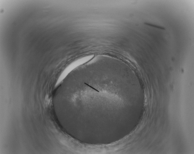 X0000061760029200512091712