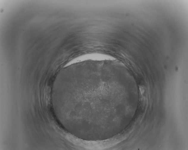 X0000061760030200512091712