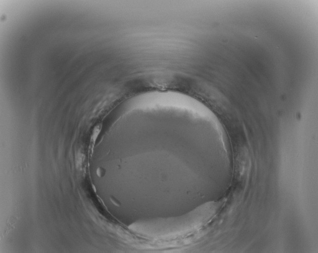 X0000061760031200512091712