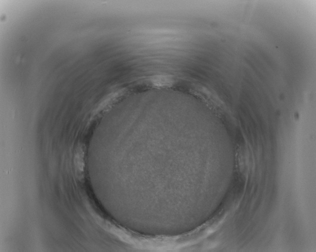 X0000061760032200512091712