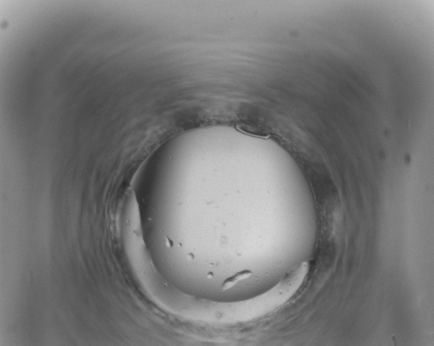 X0000061760033200512091712