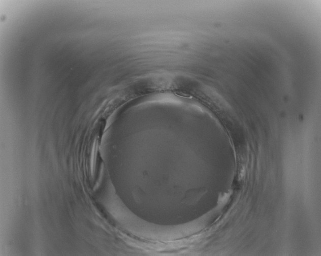 X0000061760035200512091712