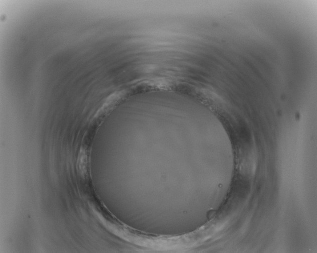 X0000061760036200512091712