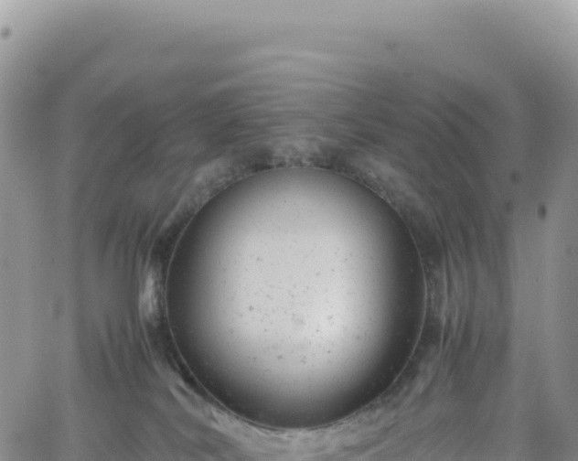 X0000061760038200512091712