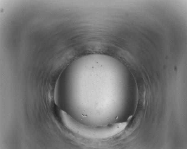 X0000061760040200512091712