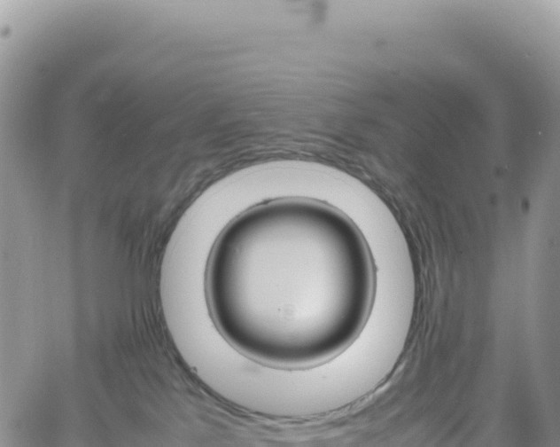 X0000061760041200512091712