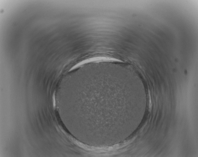 X0000061760042200512091712