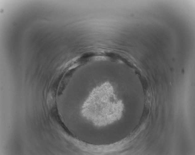 X0000061760043200512091712