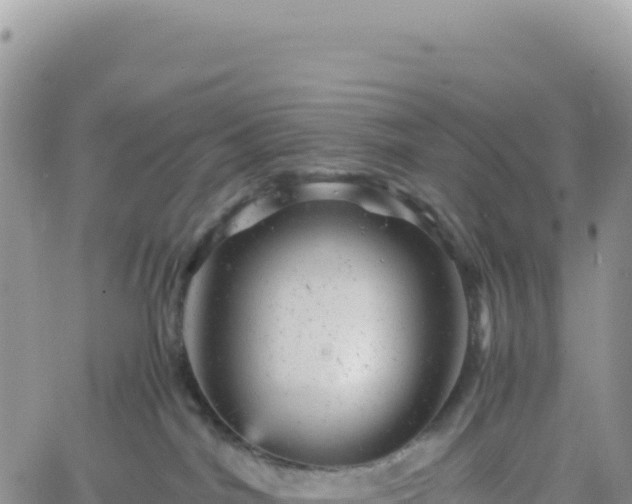 X0000061760044200512091712