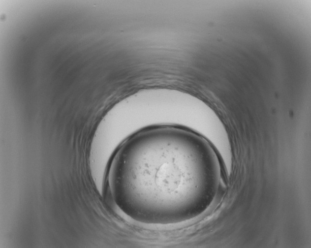 X0000061760045200512091712