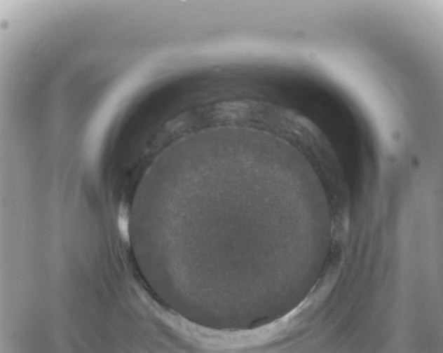 X0000061760047200512091712