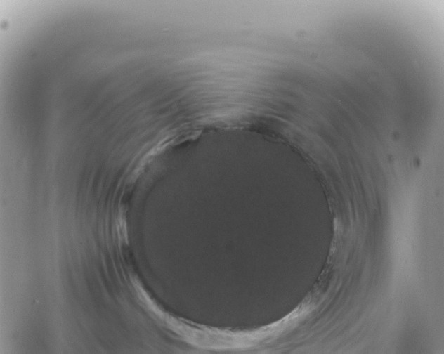 X0000061760048200512091712