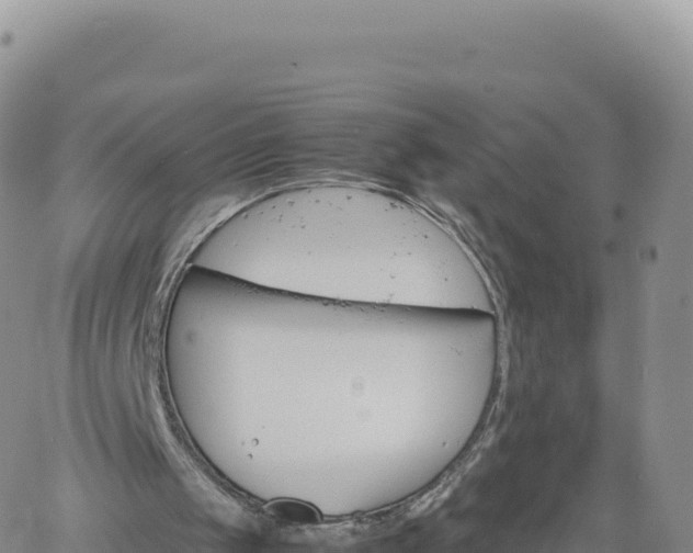 X0000061760049200512091711