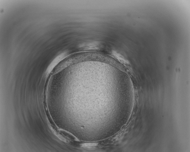 X0000061760051200512091711