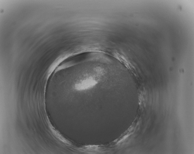 X0000061760052200512091711