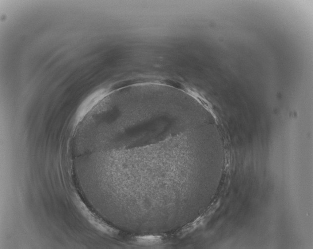 X0000061760053200512091711