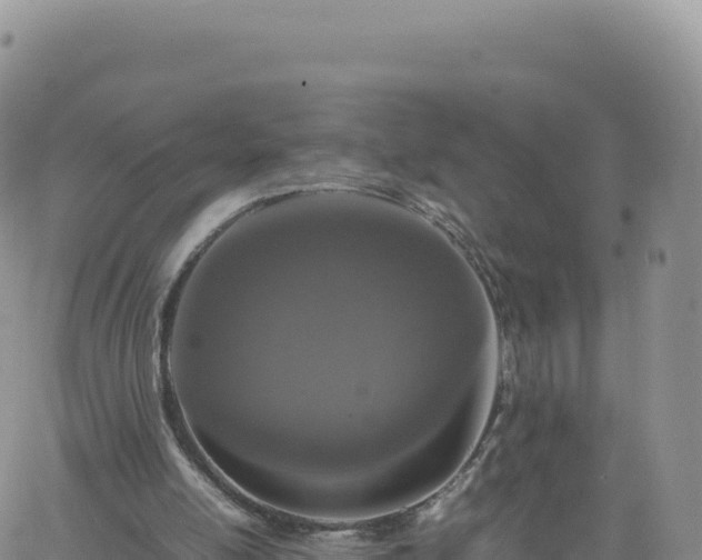 X0000061760054200512091711