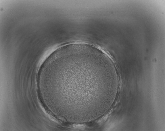 X0000061760055200512091711