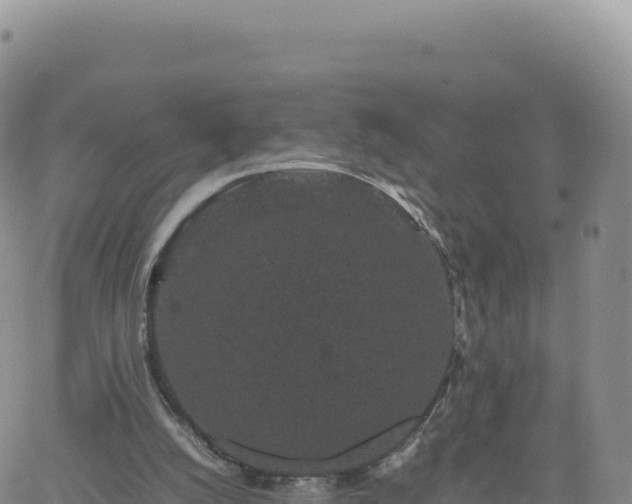 X0000061760056200512091711