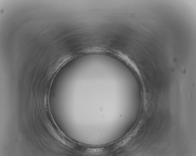 X0000061760057200512091711