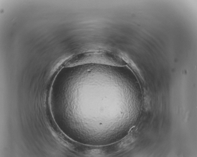 X0000061760058200512091711