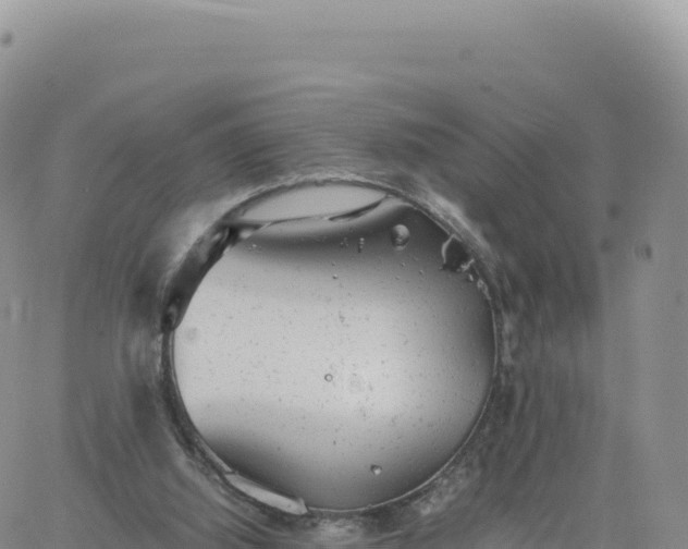 X0000061760060200512091711