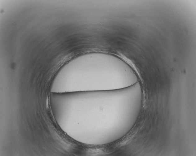 X0000061760061200512091712