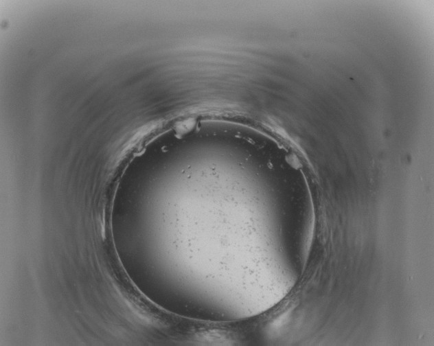 X0000061760062200512091712