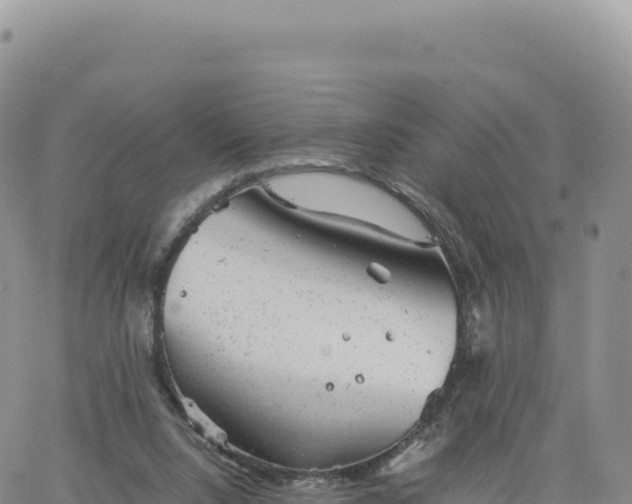 X0000061760064200512091712