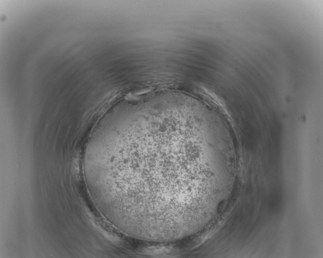 X0000061760065200512091712