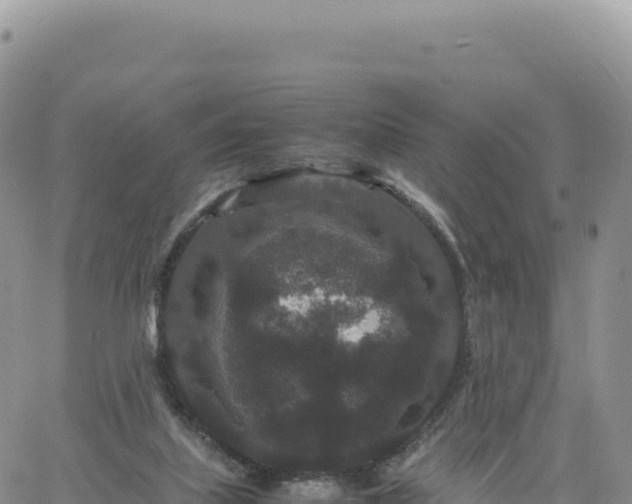 X0000061760067200512091712